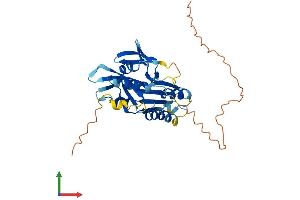 AlphaFold protein structure predicition of Human Recombinant MEDAG Protein, UniprotID Q5VYS4 (MEDAG Protein (AA 1-303) (His tag))