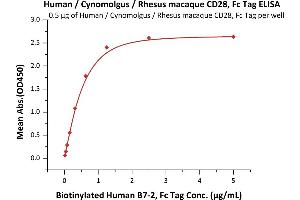 Immobilized Human / Cynomolgus / Rhesus macaque CD28, Fc Tag (Hied) (ABIN5954910,ABIN6253537) at 5 μg/mL (100 μL/well) can bind Biotinylated Human B7-2, Fc Tag (ABIN3137664,ABIN4369368) with a linear range of 0.
