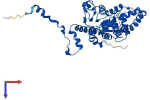 DHPS Protein (AA 1-369) (His tag)