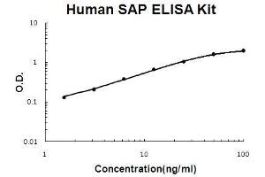 Human SAP/PTX2 PicoKine ELISA Kit standard curve (APCS ELISA Kit)