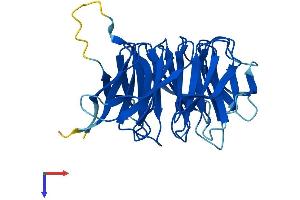 GNB2L1 Protein (AA 1-317) (His tag)