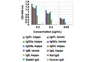 ELISA analysis of Mouse IgG monoclonal antibody, clone RMG07  at the following concentrations: 0. (Ziege anti-Maus Immunoglobulin Heavy Constant gamma 1 (G1m Marker) (IGHG1) Antikörper (Biotin))