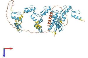 Zinc finger protein 82 homolog (ZFP82) (AA 1-532) protein (His tag)
