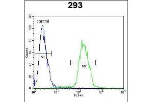 Flow cytometric analysis of 293 cells (right histogram) compared to a negative control cell (left histogram). (c-MYC Antikörper  (AA 40-69))