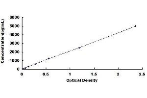 Typical standard curve (SCGB1A1 ELISA Kit)