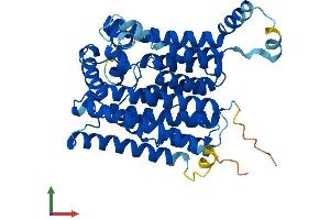 Protein Structure (PS) image for Phosphatidylinositol Glycan M (PIGM) (AA 1-423) protein (His tag) (ABIN7559118)