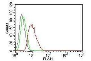 Flow Cytometric analysis of human Cyclin D1 on MCF-7 cells. (Cyclin D1 Antikörper  (PE))