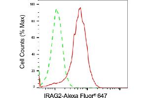 anti-IRAG2 antibody