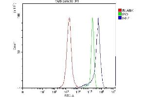 Flow Cytometry analysis of JK cells using anti-IRF7 antibody (ABIN7601022).