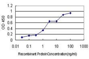 ELISA image for anti-Ubiquitin Specific Peptidase 33 (USP33) (AA 327-426) antibody (ABIN564991)