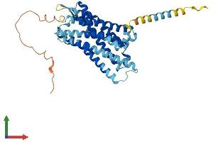 AlphaFold protein structure predicition of Mouse Recombinant Oprl1 Protein, UniprotID P35377