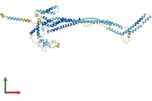Protein Structure (PS) image for DC-STAMP Domain Containing 1 (DCST1) (AA 1-732) protein (His tag) (ABIN7556897)