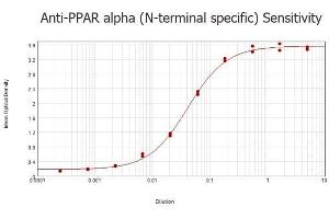 ELISA results of purified Rabbit anti-PPAR Alpha (N-terminal specific) Antibody tested against BSA-conjugated peptide of immunizing peptide. (PPARA Antikörper  (N-Term))
