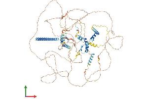 Protein Structure (PS) image for CDKN1A Interacting Zinc Finger Protein 1 (CIZ1) (AA 1-898) protein (His tag) (ABIN7546606)