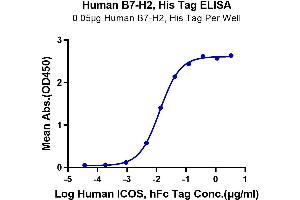 Immobilized Human B7-H2, His Tag at 0. (ICOSLG Protein (AA 19-258) (His-Avi Tag))