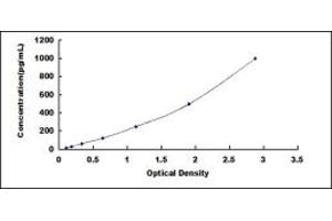 Typical standard curve (IL-17 ELISA Kit)