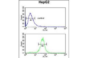 Flow cytometric analysis of HepG2 cells (bottom histogram) compared to a negative control cell (top histogram).