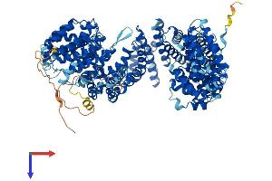 TBCD Protein (AA 1-1196) (His tag)