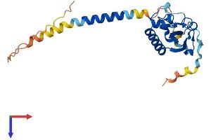 PGRMC2 Protein (AA 1-217) (His tag)