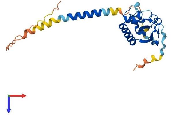 PGRMC2 Protein (AA 1-217) (His tag)