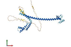 AlphaFold protein structure predicition of Mouse Recombinant Hmg20a Protein, UniprotID Q9DC33