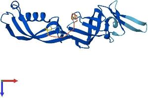 POLR3H Protein (AA 1-204) (His tag)