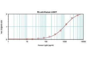 Image no. 1 for anti-Tumor Necrosis Factor (Ligand) Superfamily, Member 14 (TNFSF14) antibody (ABIN465433) (TNFSF14 Antikörper)
