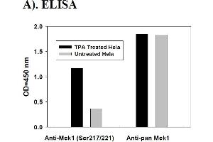 Image no. 2 for Mitogen-Activated Protein Kinase Kinase 1 (MAP2K1) ELISA Kit (ABIN1981759) (MEK1 ELISA Kit)