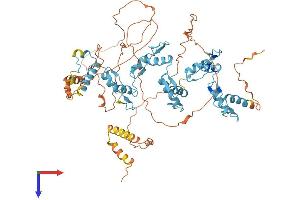 ZNF333 Protein (AA 1-665) (His tag)