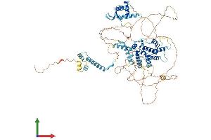 AlphaFold protein structure predicition of Mouse Recombinant Depdc1a Protein, UniprotID Q8CIG0 (DEPDC1 Protein (AA 1-804) (His tag))