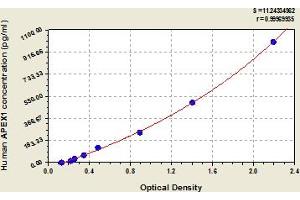 APEX1 ELISA Kit