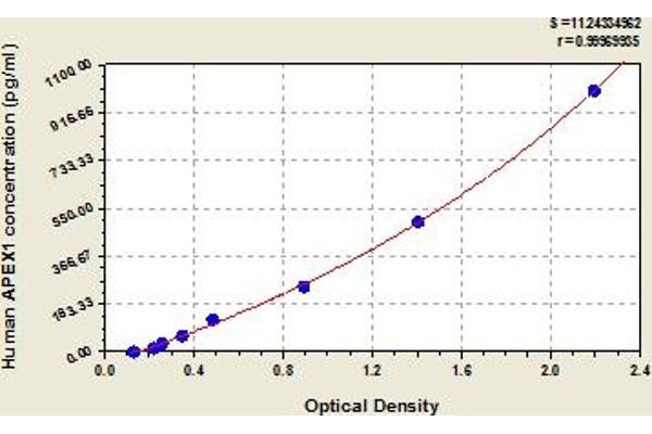 APEX1 ELISA Kit