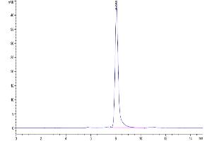 Size-exclusion chromatography-High Pressure Liquid Chromatography (SEC-HPLC) image for EPH Receptor A3 (EPHA3) (AA 1-514) protein (His tag) (ABIN7274552)