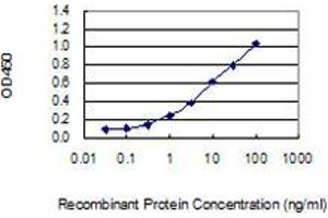 Detection limit for recombinant GST tagged IL17A is 0. (Interleukin 17a Antikörper  (AA 24-133))