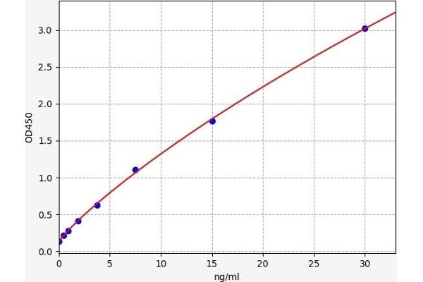 SLC2A13 ELISA Kit