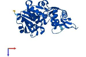 NMRAL1 Protein (AA 1-299) (His tag)