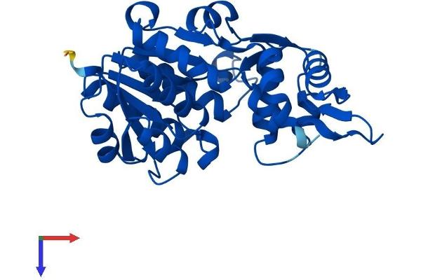 NMRAL1 Protein (AA 1-299) (His tag)