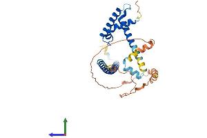 AlphaFold protein structure predicition of Human Recombinant FSBP Protein, UniprotID O95073 (FSBP Protein (AA 1-299) (His tag))