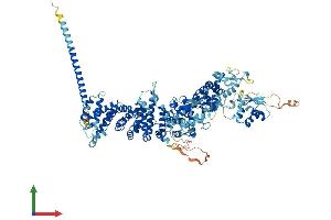 Protein Structure (PS) image for Ubiquitin Protein Ligase E3B (UBE3B) (AA 1-1068) protein (His tag) (ABIN7555905)