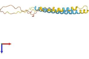 IFITM2 Protein (AA 1-144) (His tag)