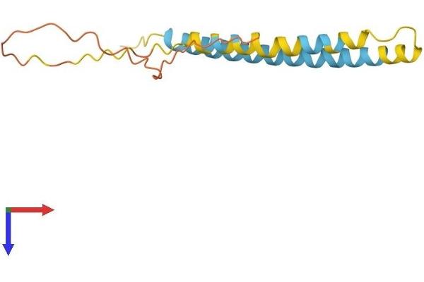 IFITM2 Protein (AA 1-144) (His tag)