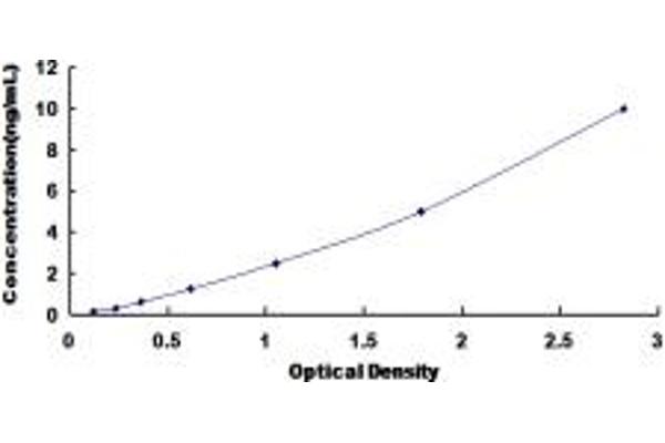 P2RY14 ELISA Kit