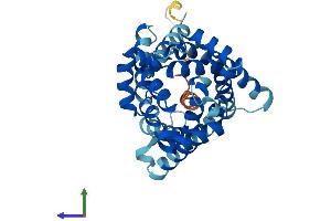 Protein Structure (PS) image for Solute Carrier Family 25 (Mitochondrial Carrier, Graves Disease Autoantigen), Member 16 (SLC25A16) (AA 1-332) protein (His tag) (ABIN7559075)
