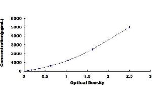 Procollagen II N-Terminal Propeptide (PIINP) ELISA Kit