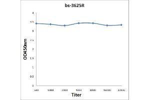 Antigen: 2 µg/100 µL  Primary: Antiserum, 1:500, 1:1000, 1:2000, 1:4000, 1:8000, 1:16000, 1:32000;  Secondary: HRP conjugated Rabbit Anti-Goat IgG at 1: 5000;  TMB staining Read the data in Microplate Reader by 450nm. (PKC delta Antikörper  (AA 65-170))