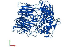 Protein Structure (PS) image for Prolyl Endopeptidase (PREP) (AA 1-710) protein (His tag) (ABIN7561727)