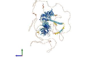 Protein Structure (PS) image for Misshapen-Like Kinase 1 (MINK1) (AA 1-1308) protein (His tag) (ABIN7565119)