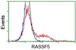 Image no. 1 for anti-Ras Association (RalGDS/AF-6) Domain Family Member 5 (RASSF5) antibody (ABIN1500614) (RASSF5 Antikörper)
