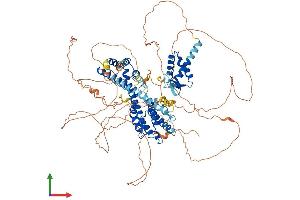 Protein Structure (PS) image for Regulatory Factor X 6 (RFX6) (AA 1-927) protein (His tag) (ABIN7564523)