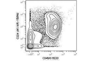 Flow Cytometry (FACS) image for anti-CD24 Molecule (CD24) antibody (ABIN2664425)